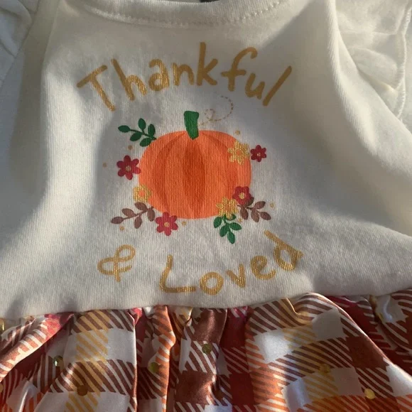 Baby Starters - Rashti & Rashti - Thanksgiving Dress with attached onesie - 9 M - Picture 2 of 16